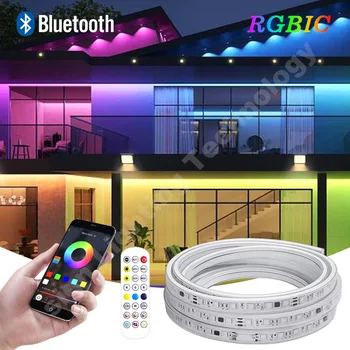 110V või 220V Led Valgus RGBIC 60leds/m Bluetooth Smart APP Kontrolli Veekindel IP67 Unistuste Värvi RGB Juhitava Flex Lint Kerge